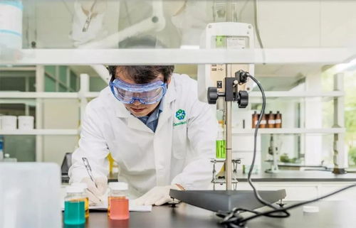 綠葉上?？蒲兄行某闪芍苣?技術研發譜寫高質量發展新篇章